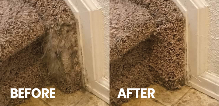 Aurora, CO Carpet Repair Client Before & After