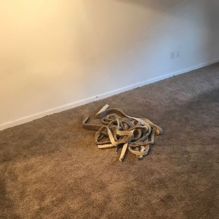 Carpet Trimming During Carpet Repair and Stretching in Denver, CO