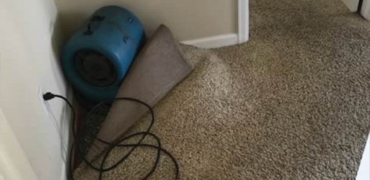 Fan Drying Carpet After Highlands Ranch, CO Water Extraction