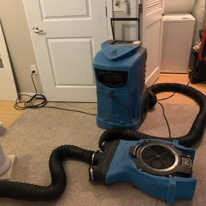 Carpet Shampooing In Aurora Denver