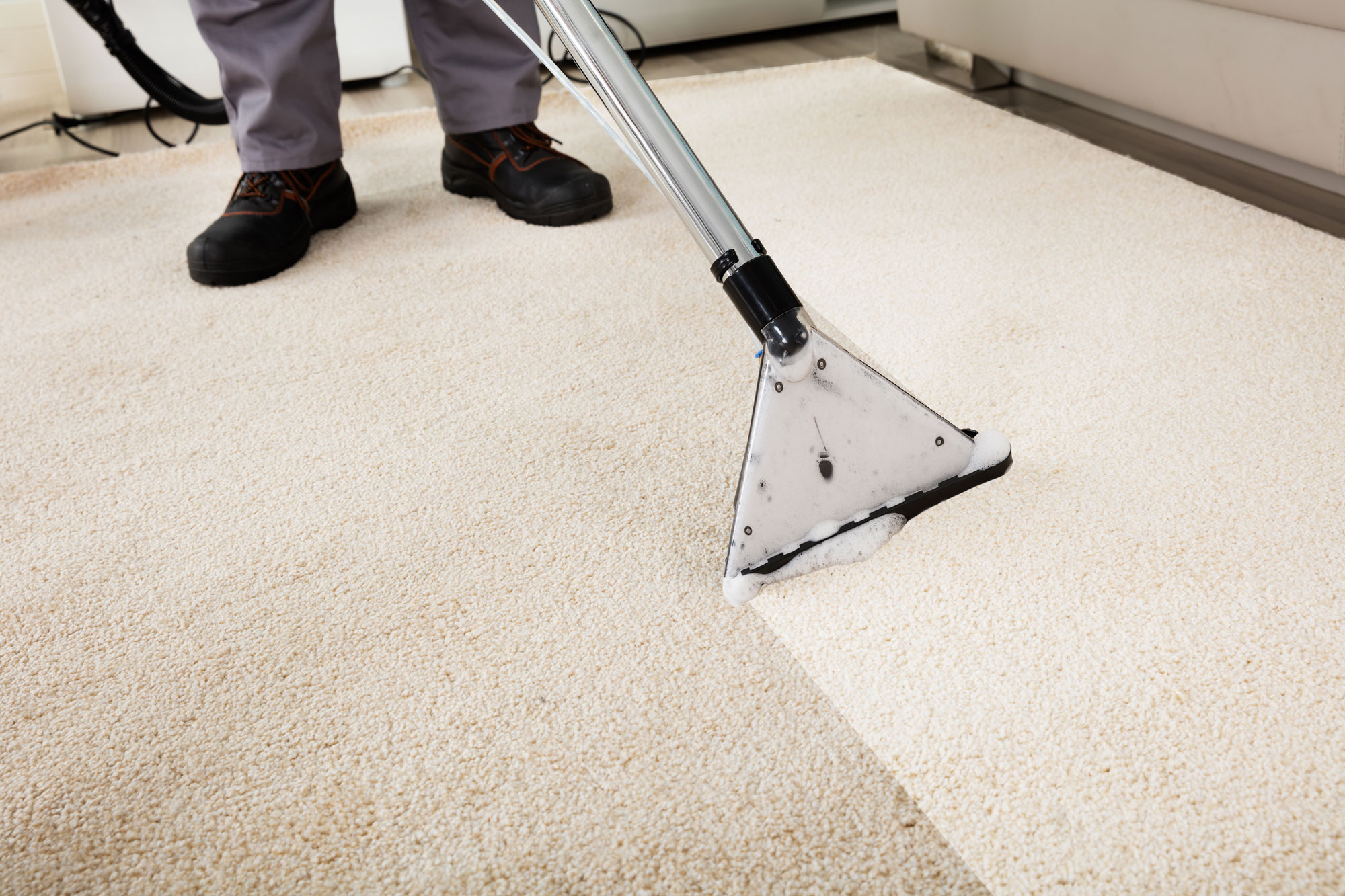 Commercial Carpet Repair Cleaning Shampooing In Golden