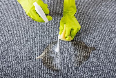 A Professional Performing a Carpet Cleaning Service for a Highlands Ranch Residence